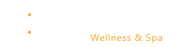 enthymesis-logo